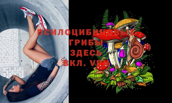 соль курить ск Лиски